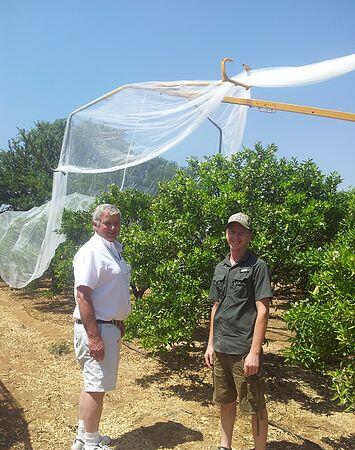 bee net8 דבורה נטו8