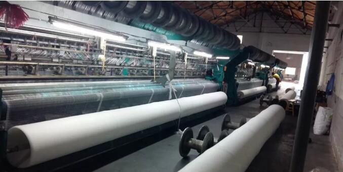 bee net3 דבורה נטו3