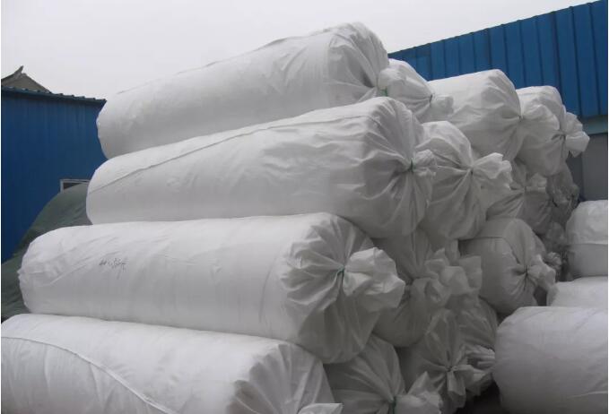 bee net4 דבורה נטו4