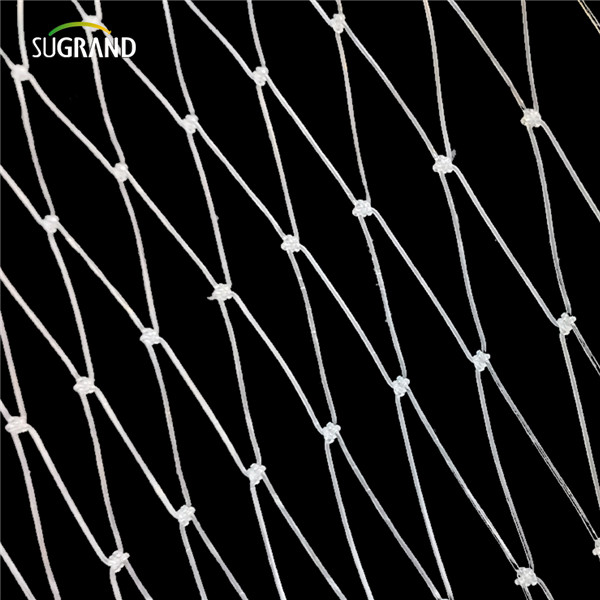 nylon fish net (5) רשת דגי ניילון (5)