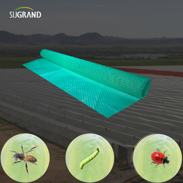 כיצד להתקין רשת חרקים: מדריך עשה זאת בעצמך לחקלאים וגננים