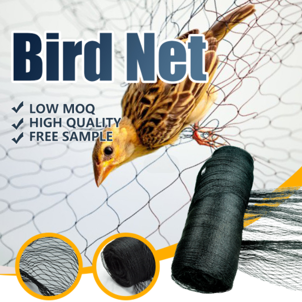 כיצד לבחור רשת נגד ציפורים?