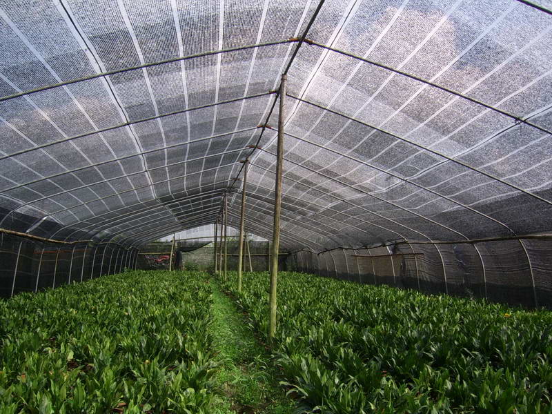 האם שינוי עונתי משפיע על מכירות Shade Net?