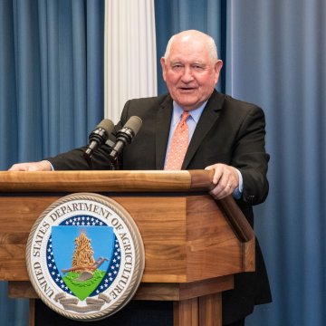 רשת צל חקלאית