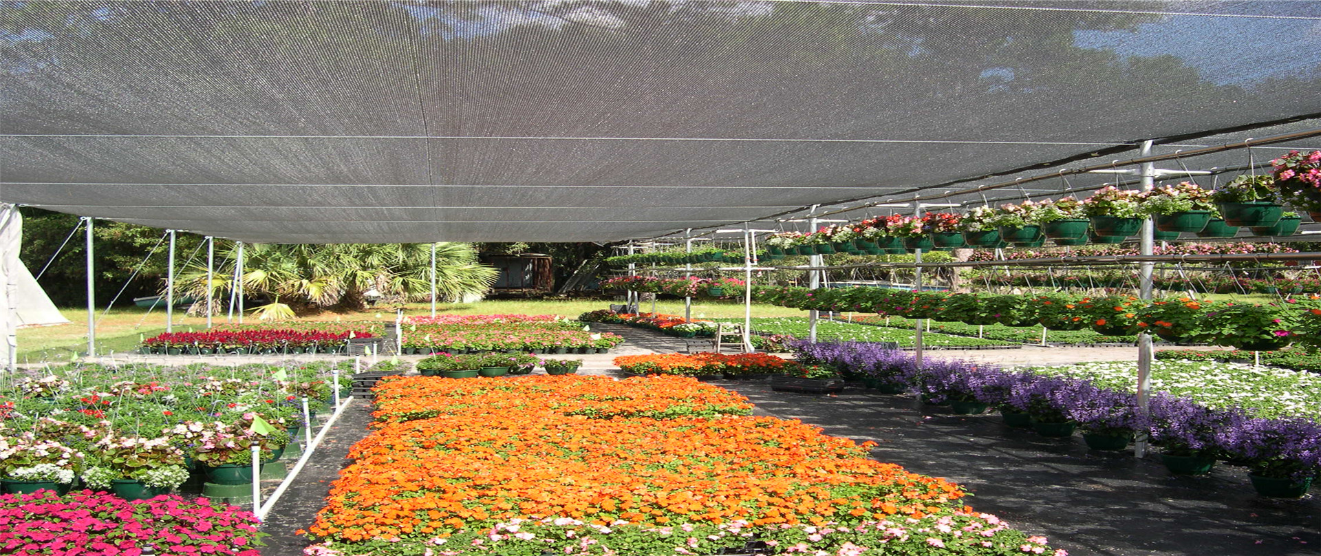 סיכמו את הביצועים של Shade Net