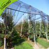 חדש HDPE Black Anti Bee Net Online