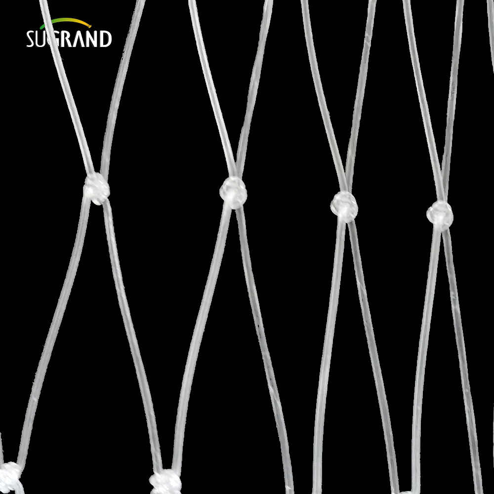 15*15 ס'מ נטו דגי ניילון שקופים לשוק פרו