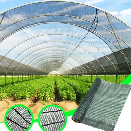 nursery shade net.png