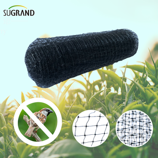 HDPE 200 מ 'רשת אנטי ציפורים להגן על פרי ירקות