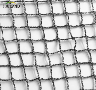 רשת ציפורים