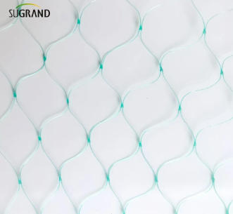 רשת ציפורים