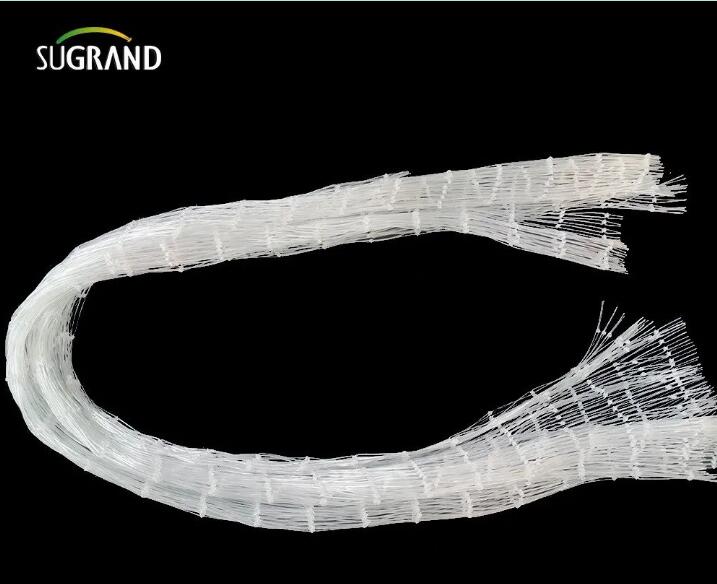 רשת דגים ניילון