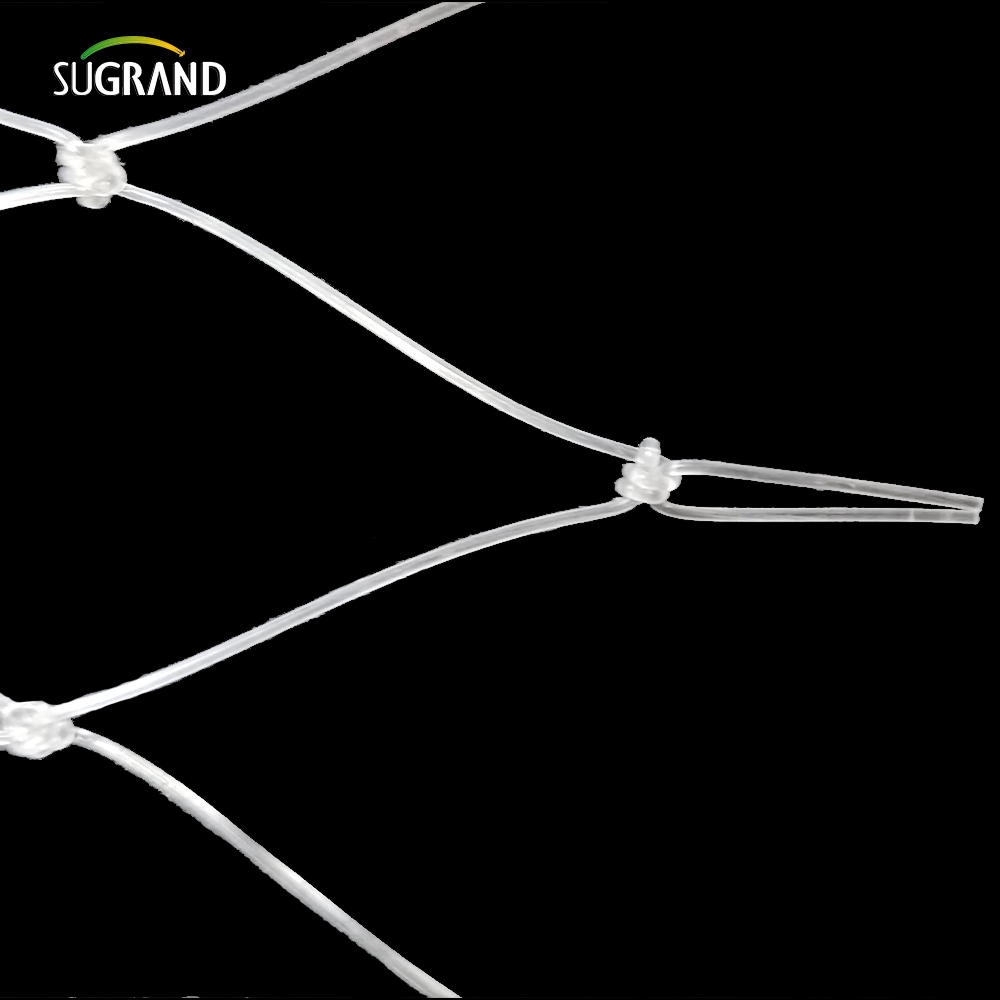 15*15 ס'מ נטו דגי ניילון שקופים לשוק פרו