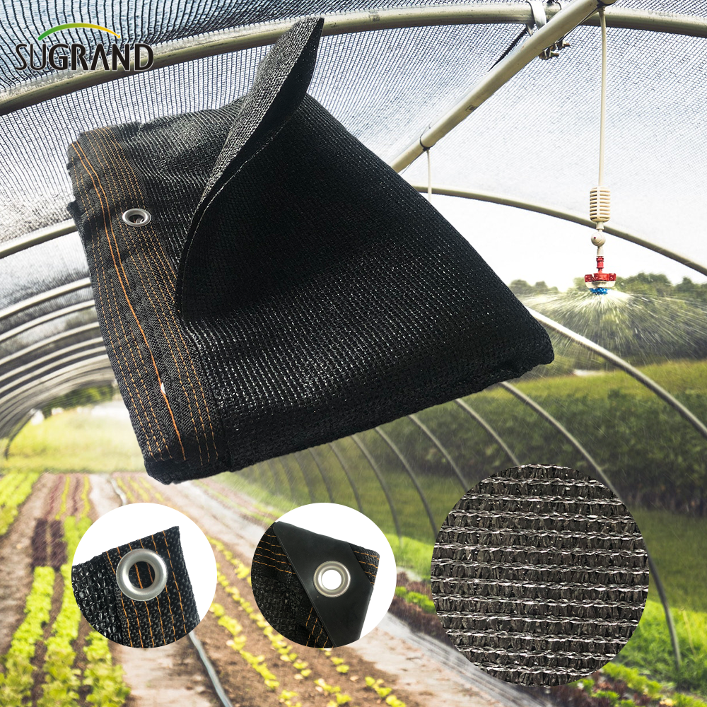 Shade Nets Vs. סרט חממה: מהו פיתרון בקרת האקלים הטוב יותר?