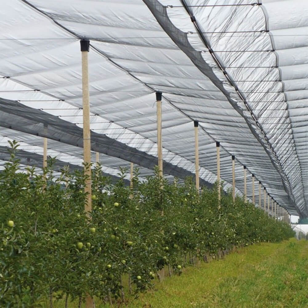 רשת ברד פרימיום סרוגה לכרמים