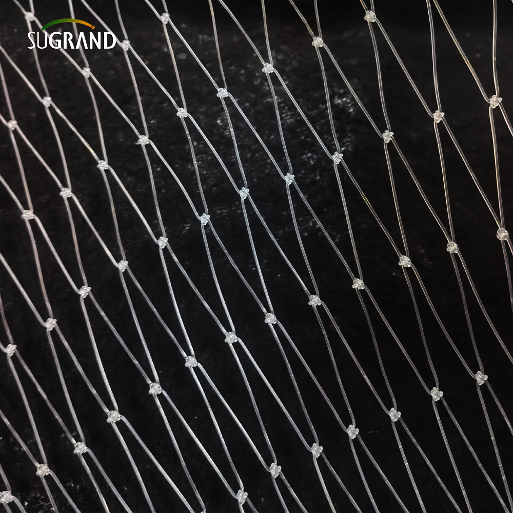 15*15 ס'מ נטו דגי ניילון שקופים לשוק פרו