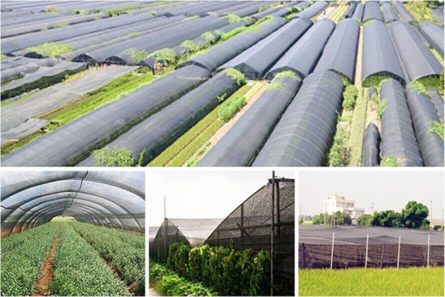 Shade Net