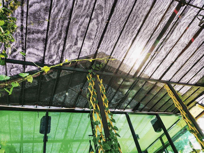 Shade Net