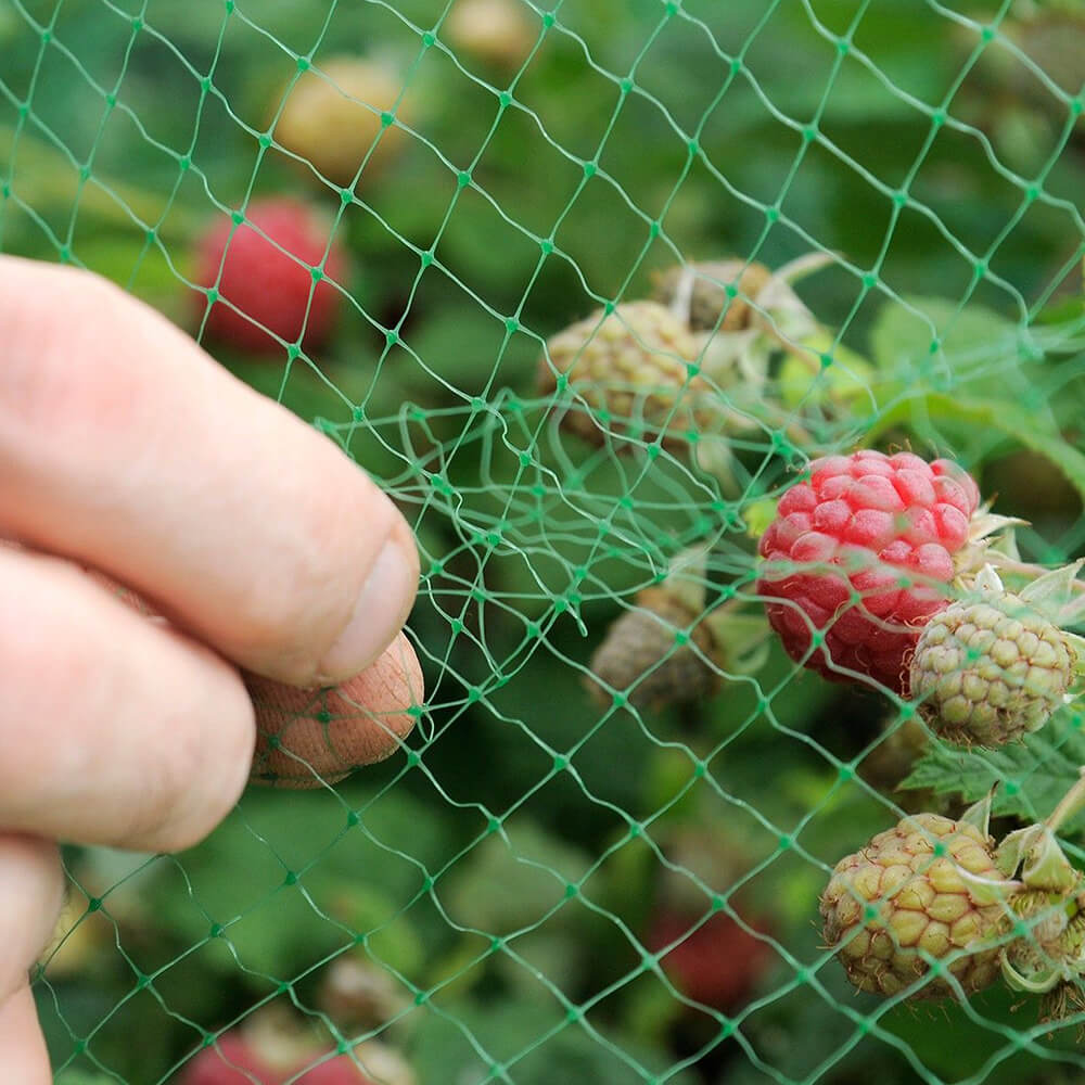 רשת נגד ציפורים למטע ולחווה