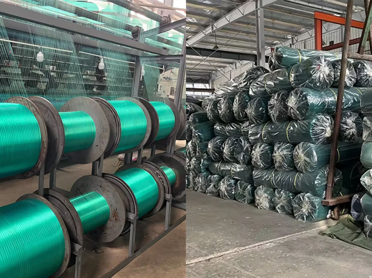 מפעל רשת ציפורים