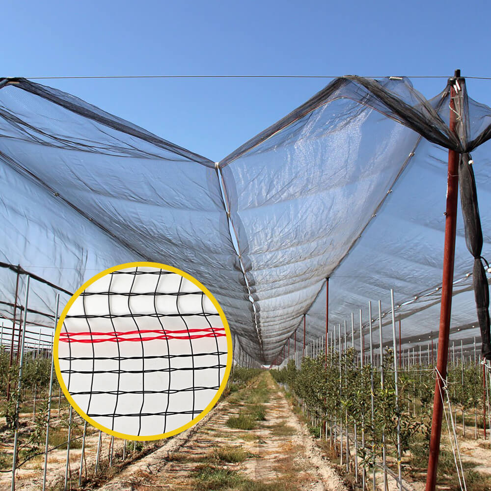 רשת ברד פרימיום סרוגה לכרמים