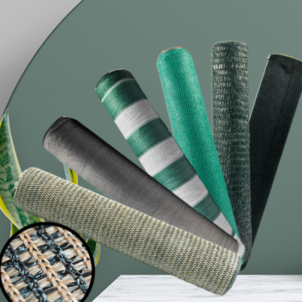 קח אותך ללמוד על Shade Net